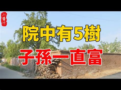 柳樹 風水|【門前的風水樹】門前種什麼樹風水好種對了樹好運連連 